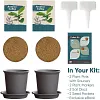 Gardening Planting Coffee Seeds Flower Pot Kit Grow Your Own Coffee