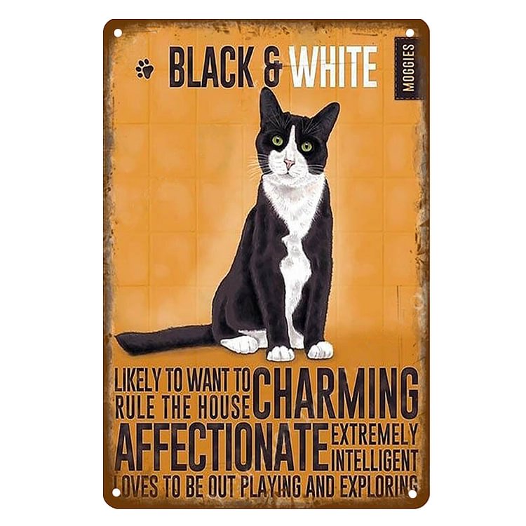 Cat - Black & White - Charming - Affectionate Vintage Tin Signs/Wooden Signs - 7.9x11.8in & 11.8x15.7in