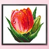 Flower - 9CT Partial Beaded Cross Stitch Kit(28x25cm)