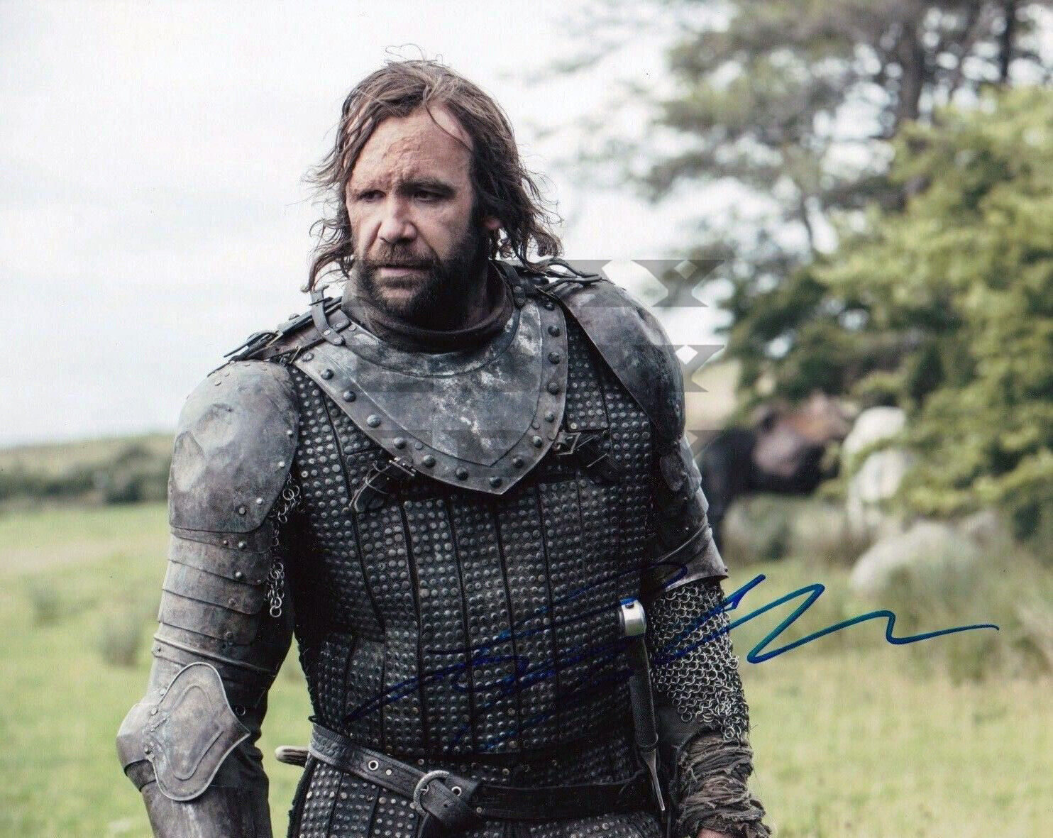 RORY MCCANN GAME OF THRONES Autographed Signed 8x10 Photo Poster painting Reprint