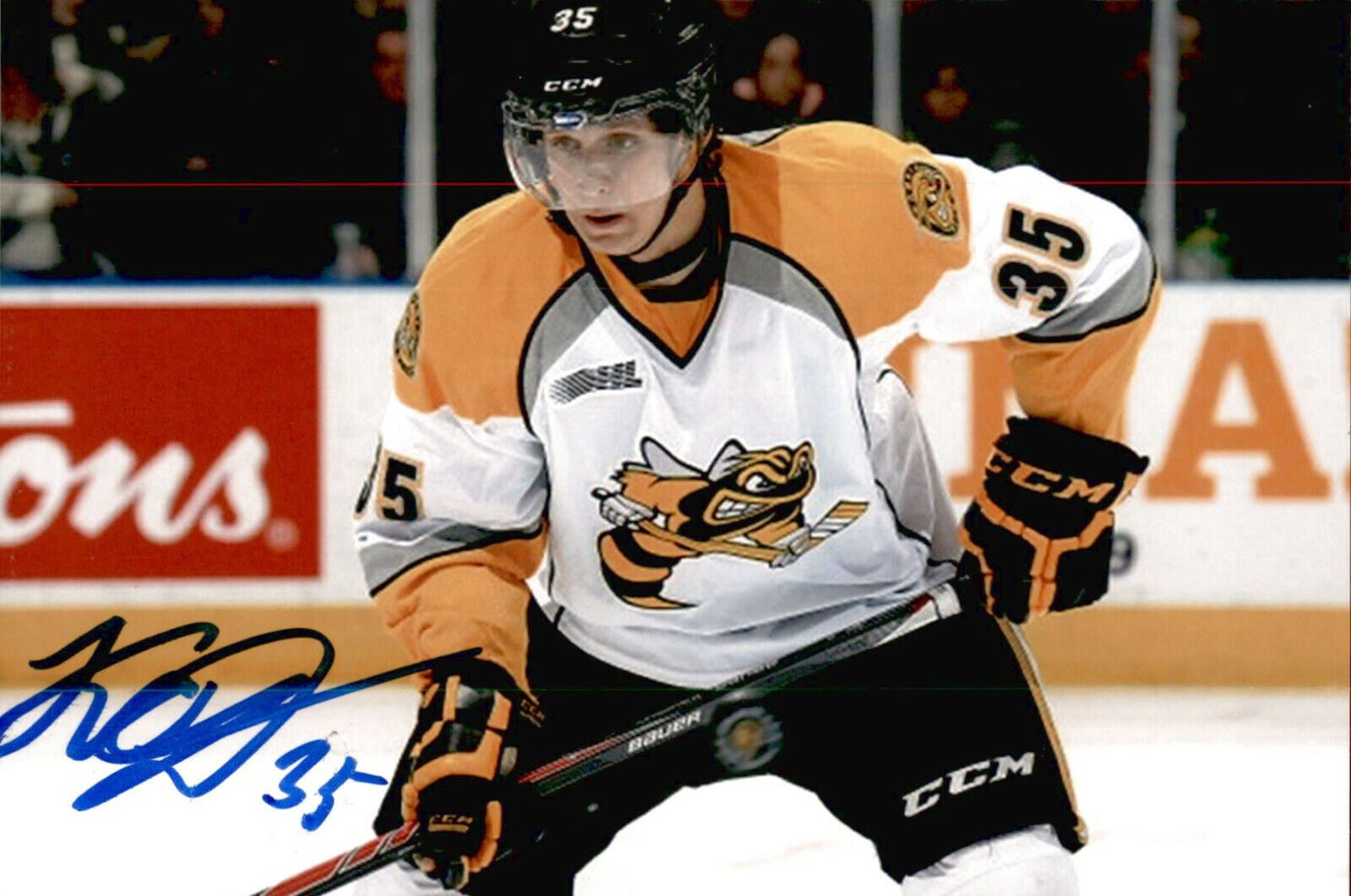 Nikita Korostelev SIGNED 4x6 Photo Poster painting SARNIA STING / TORONTO MAPLE LEAFS #3