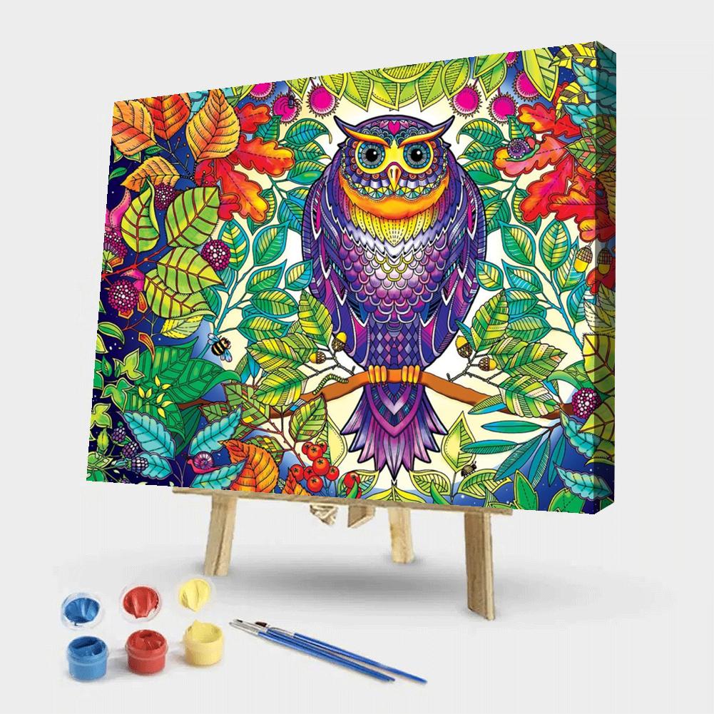 Owl - Painting By Numbers - 50*40CM gbfke
