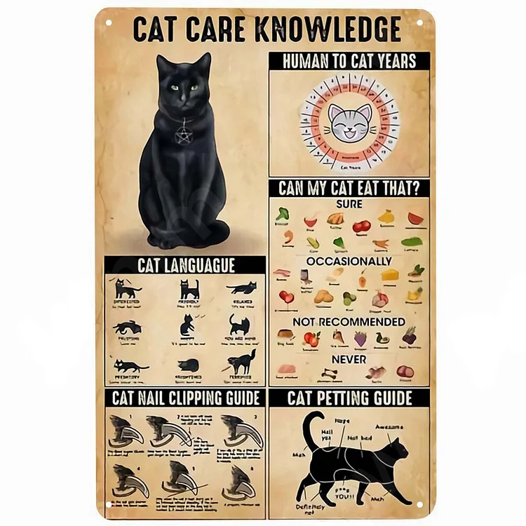 Cat Care Knowledge- Vintage Tin Signs/Wooden Signs - 7.9x11.8in & 11.8x15.7in