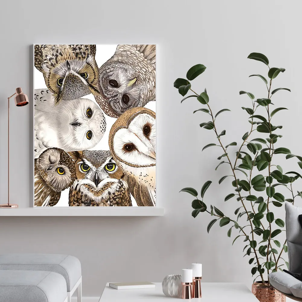 Full Square Diamond Painting 40*50cm - Owl
