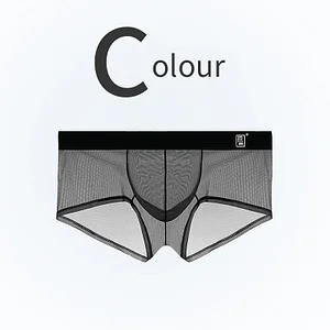 Men's Ultra Thin Ice Silk Transparent Mesh Sexy U-Convex Boxer Briefs