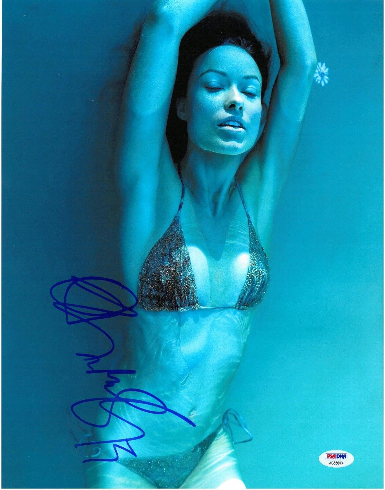 Olivia Wilde Signed Sexy Authentic Autographed 11x14 Photo Poster painting PSA/DNA #AB55803