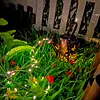 Butterfly Art LED Lights Decorative Light IP65 Waterproof 36LED for Pathway Park