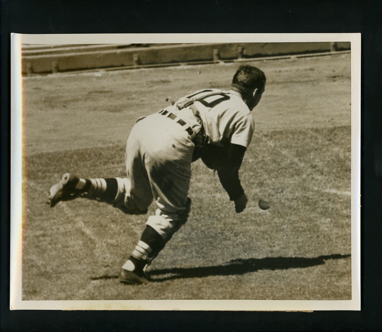 Sherm Lollar drops pop-up 1954 Press Photo Poster painting Chicago White Sox