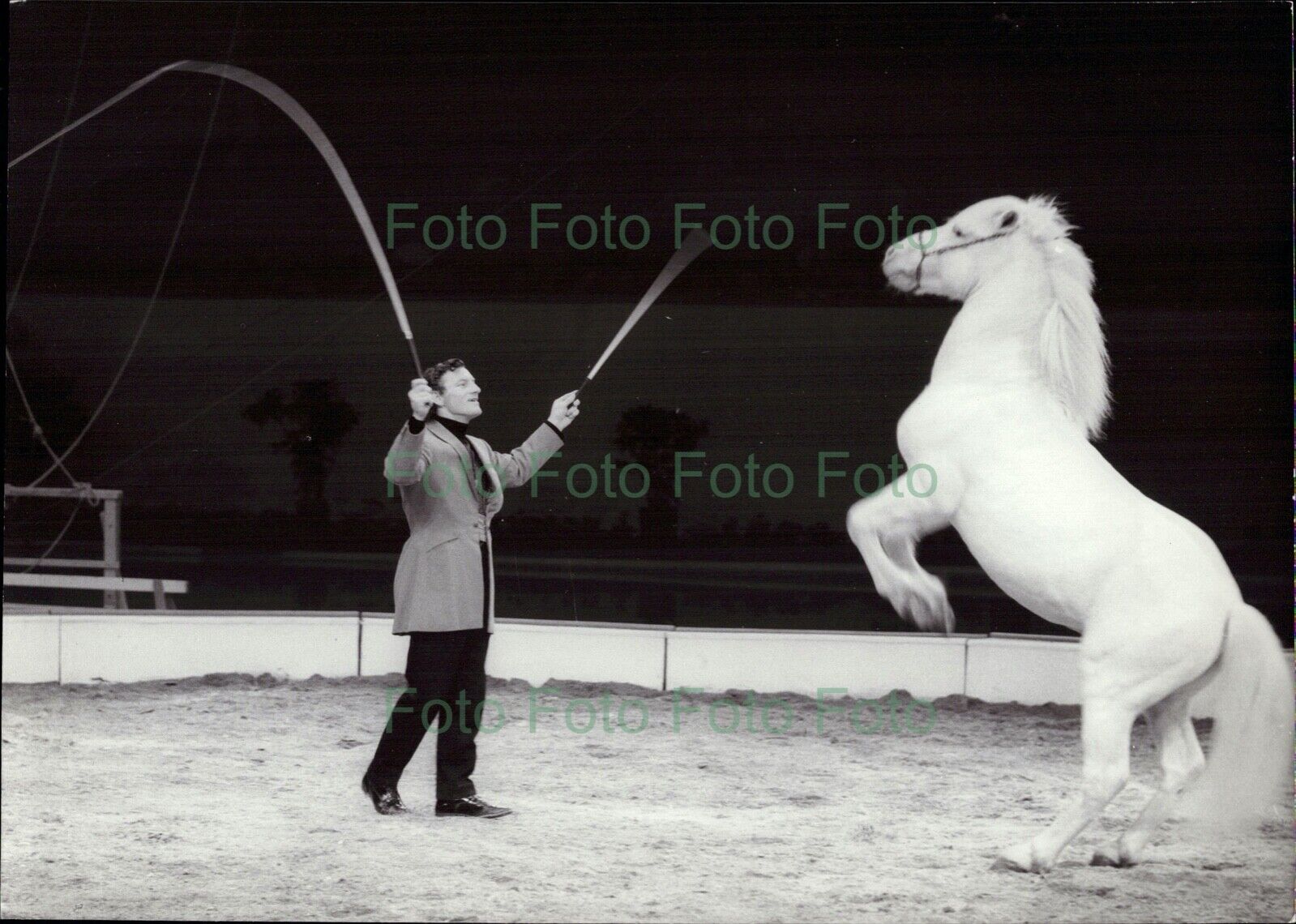 Zirkus Giovanni Althoff Pony Vintage Presse Foto R?hnert (UN-233