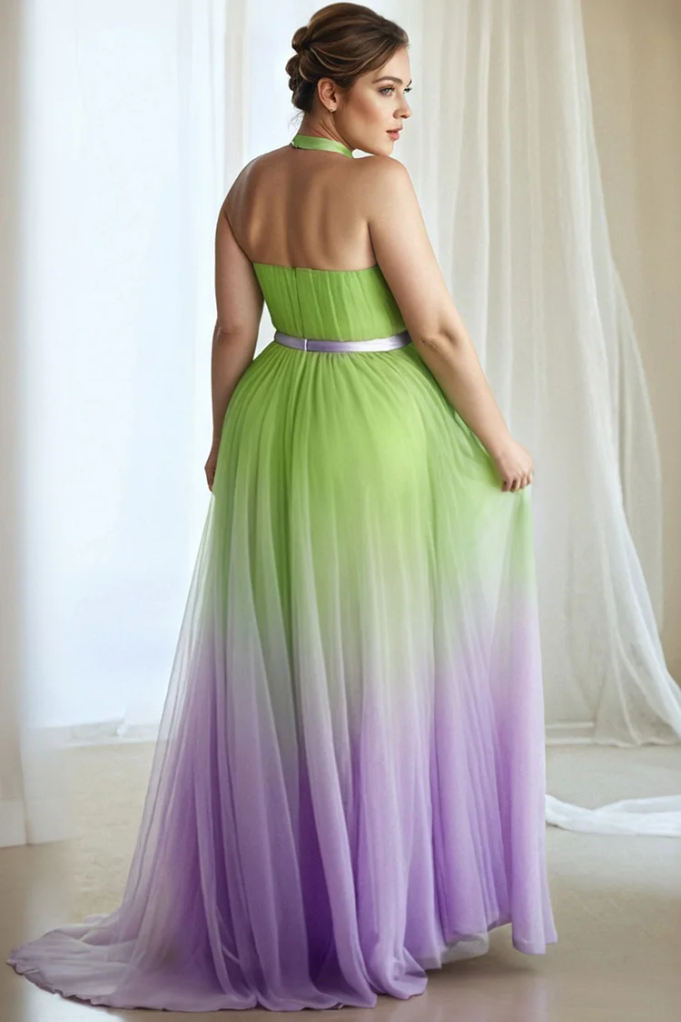 Xpluswear Design Plus Size Wedding Guest Multicolor Gradient Halter Collar Sundress Cut Out Tulle Maxi Dresses [Pre-Order]