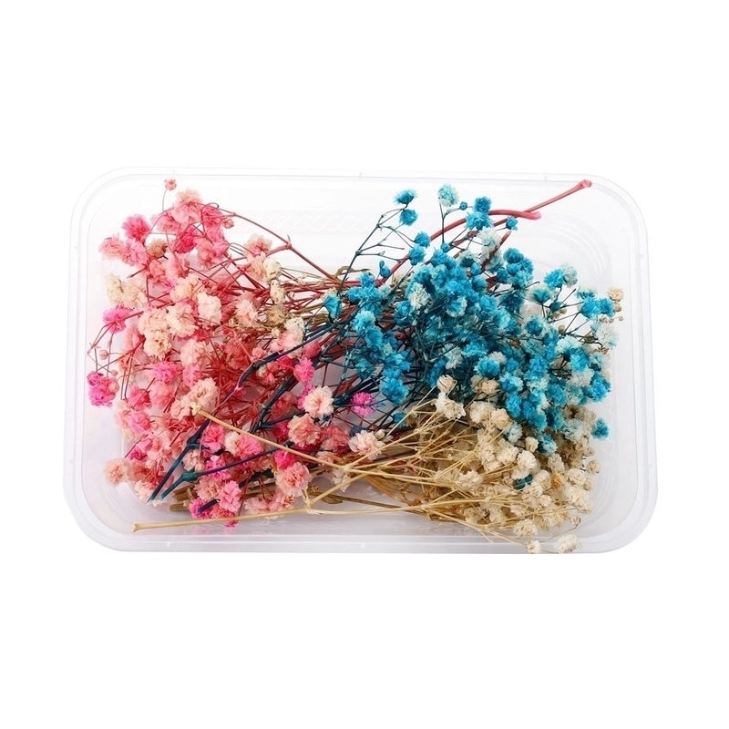 Flower Dried Flower Party Dried Flower