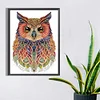 Diamond Painting-DIY Crystal Rhinestone Owl