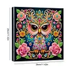 Umgebene Mandala-Eule, speziell geformte 5D-DIY-Teilbohrer, Diamanten, Punkte, Edelsteinkunst-Kits mit Rahmen, Diamanten, Gem&auml;lde, Edelsteinkunst 29x2
