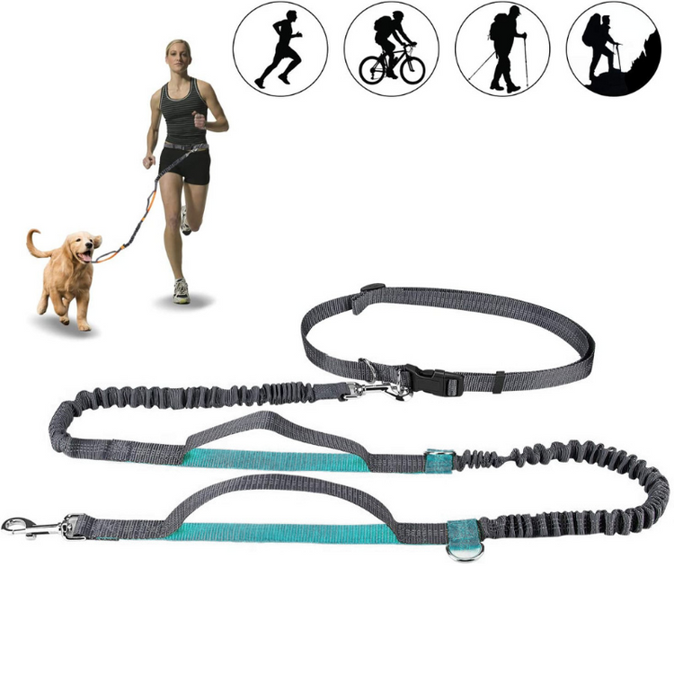 Dog Leash