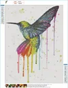 Hummingbird Color | Full Round Diamond Painting Kits