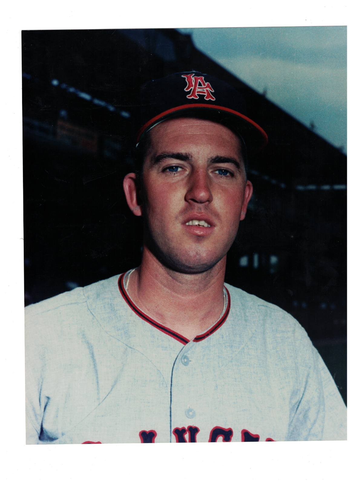 Jim Donohue Los Angeles Angels Vintage 8x10 George Brace Photo Poster painting RH1