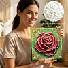 DIY Pearl Painting Red Roses for Home Decor with Frame(25x25cm)