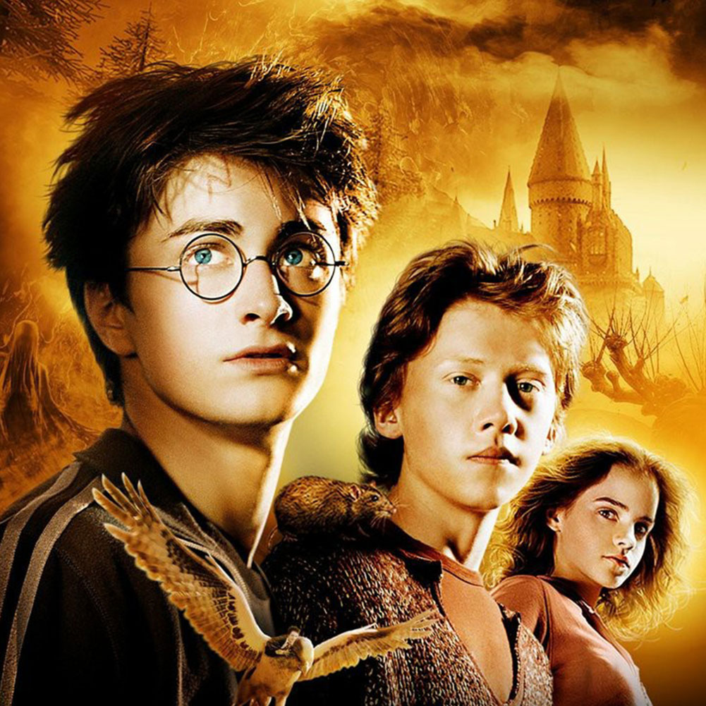 

Harry Potter - Round Drill Diamond Painting - 40*40CM, 501 Original