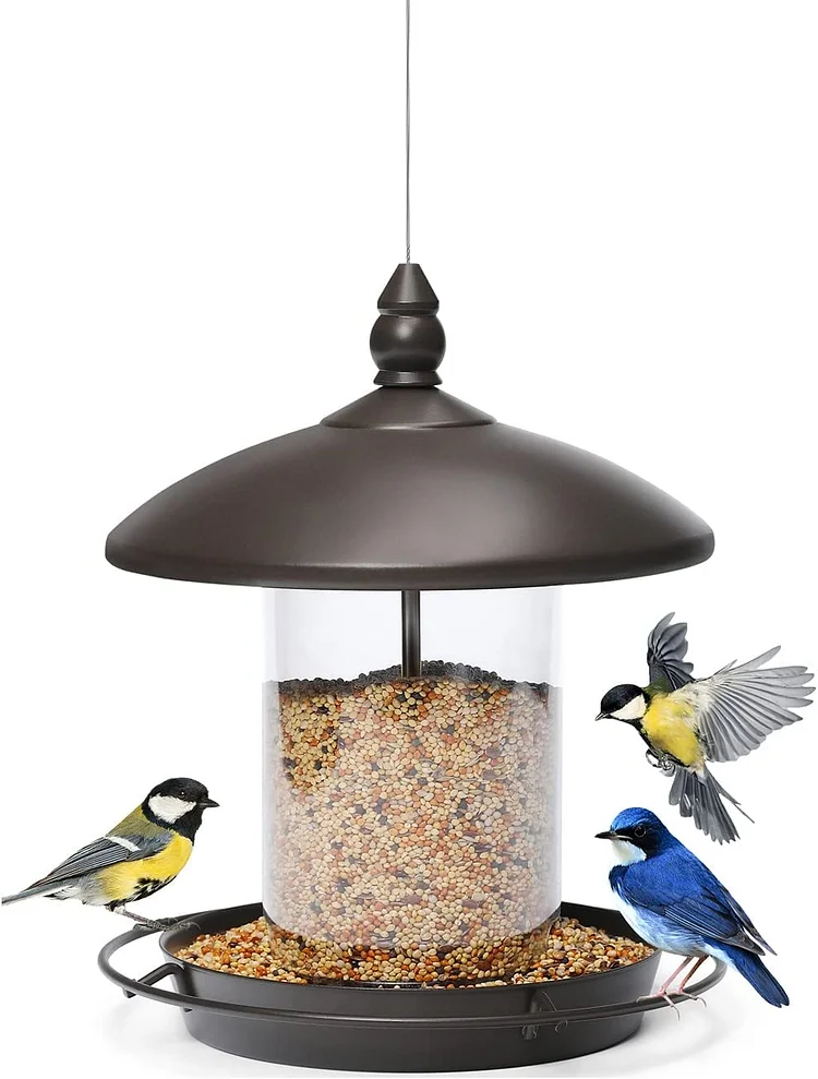 Circular roof design, sun and rain protection, bird feeder