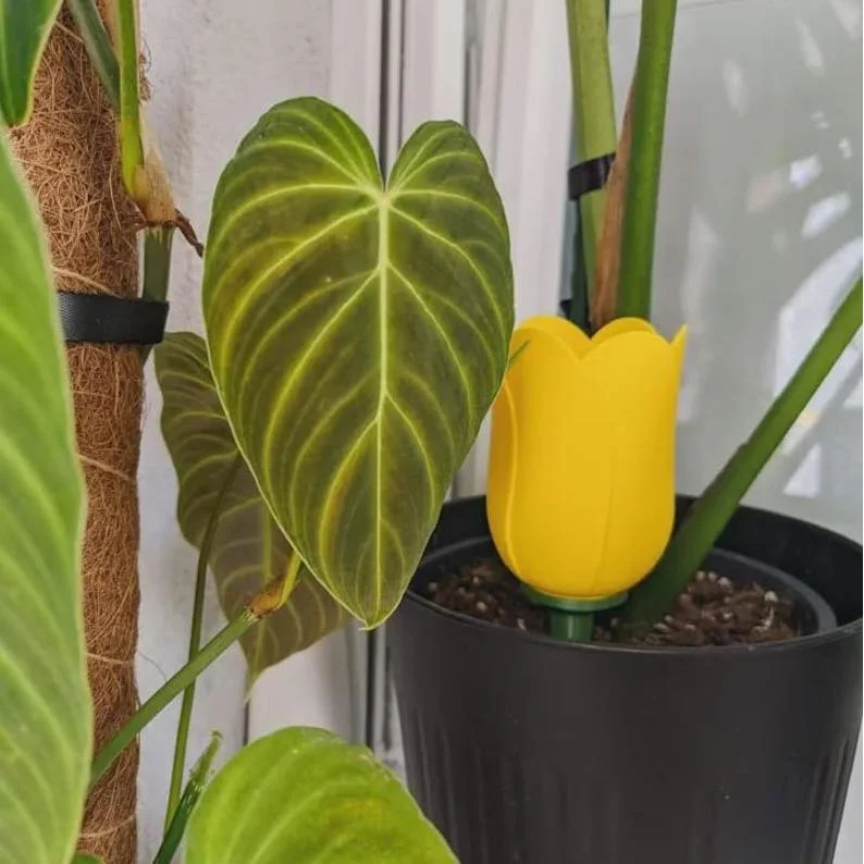 Self Watering Planter - Plant Watering