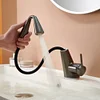 Pull-Out Faucet Bathroom Basin Copper Wash Hand Wash Bathroom Cabinet Hot And Cold Dual Use