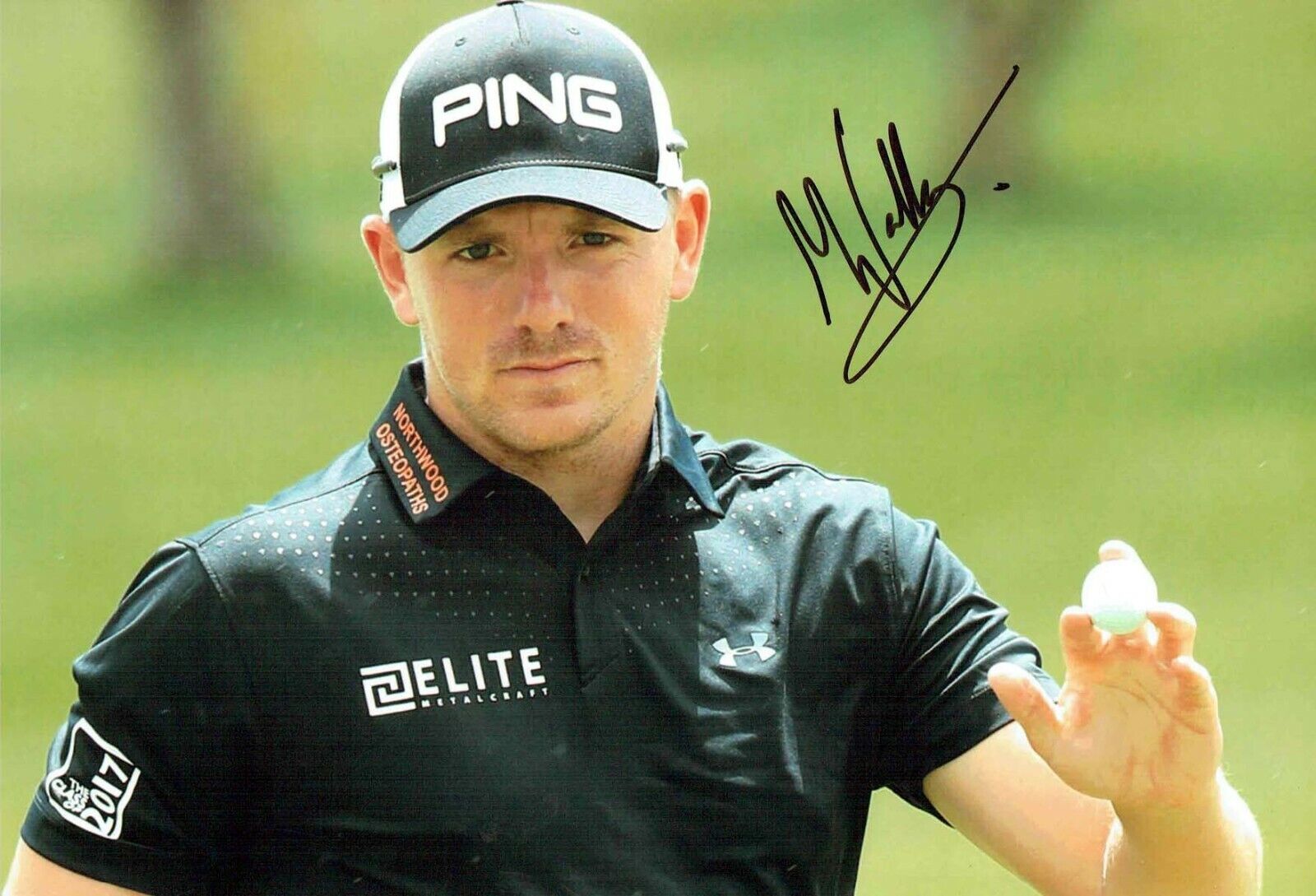 Matt WALLACE 12x8 Signed Autograph Photo Poster painting 3 European Tour Golf Winner AFTAL COA