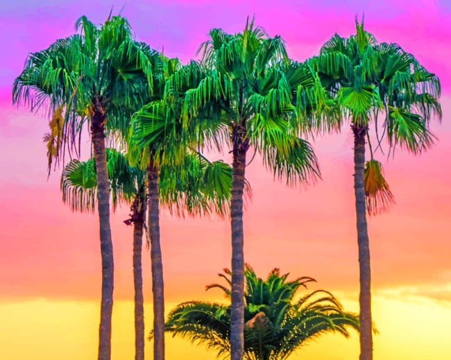 

Aesthetic Palms Sunset – Trees Paint By Numbers - 40*50CM, 501 Original