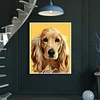 Painting By Numbers - DIY Dog(40*50cm)