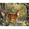 Deer | Full Square Diamond Painting Kits