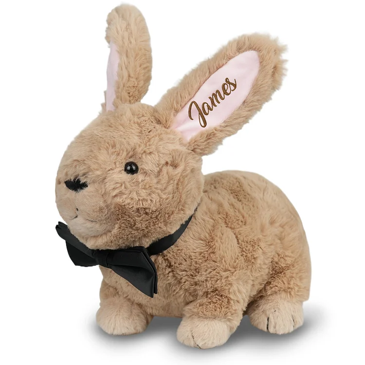 Duckbe Custom Bunny Plush Embroidered Name, Realistic Bunny Stuffed Animal, Personalised Brown Rabbit for Baby Birthday Easter Gift for Girls Toddlers Kids