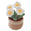 DIY Flower Potted Crochet Kit with Video Tutorial Cute Plants Hand-Knitted Tool