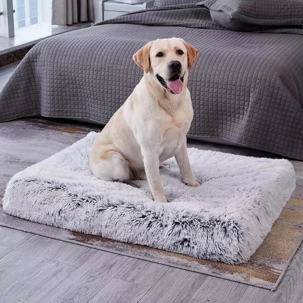 Orthopedic Memory Foam Dog Bed