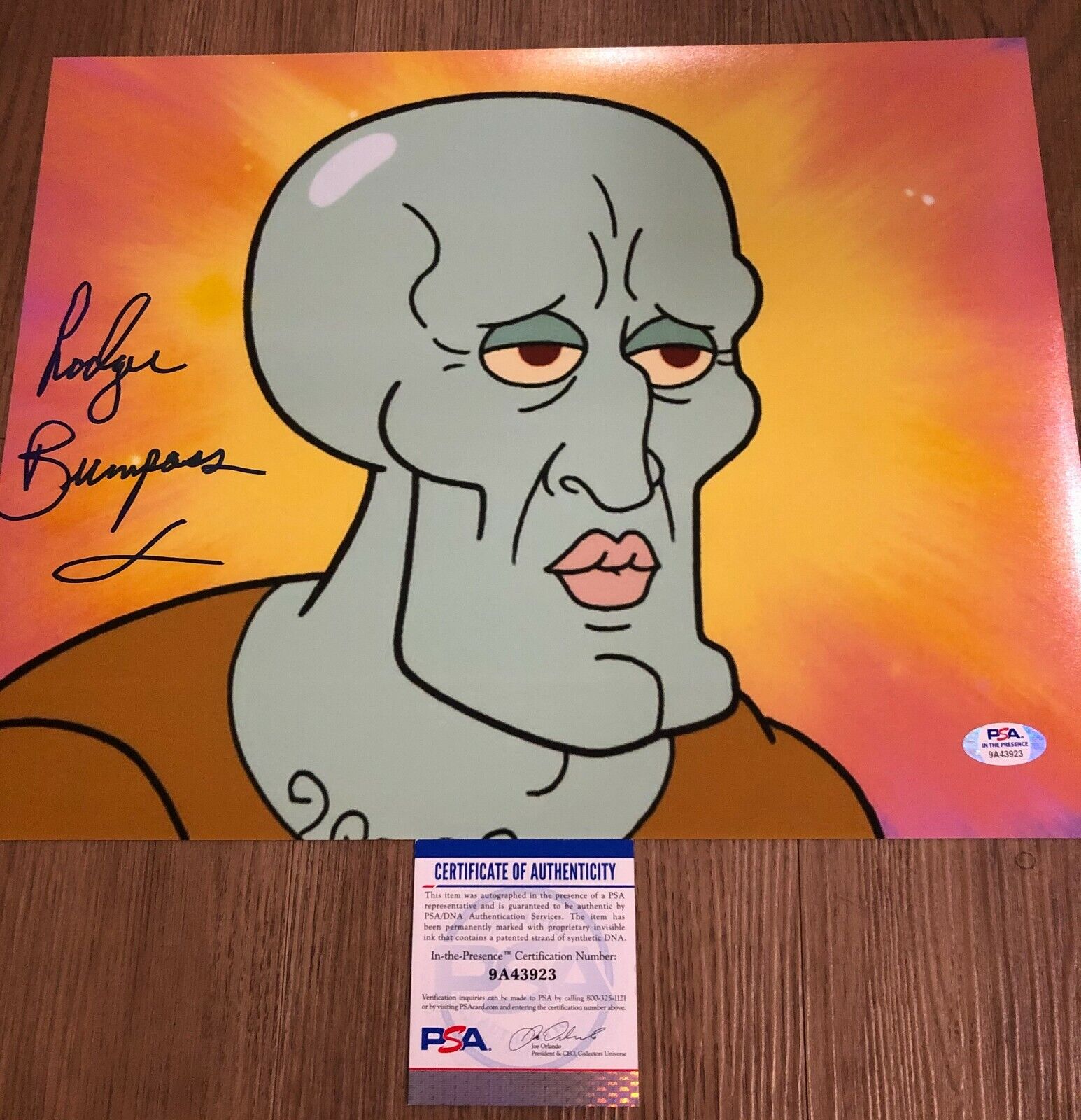 Rodger Bumpass Squidward Spongebob Squarepants Autographed 11x14 Photo Poster painting PSA E