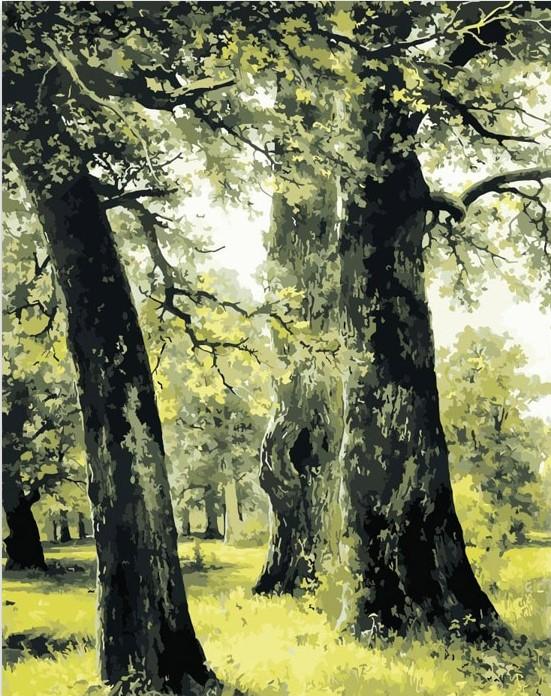 

Green Tree – Paint By Numbers - 40*50CM, 501 Original