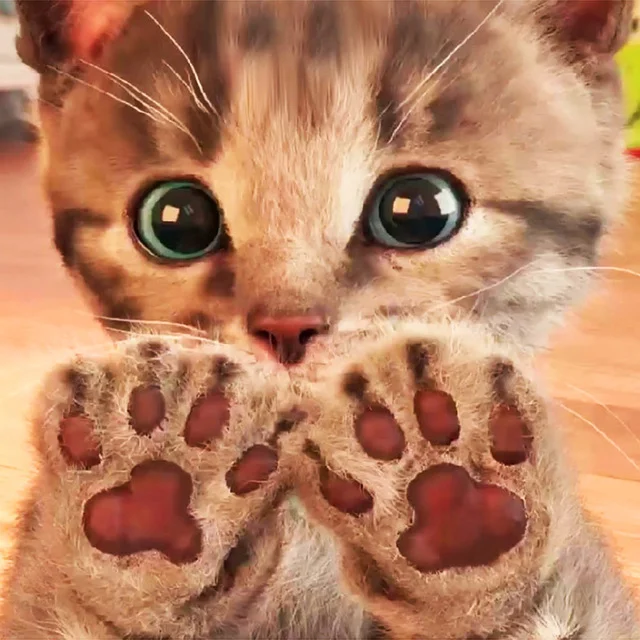 Diamond Painting - Full Round/Square Drill - Cat(30*30 - 50*50cm)