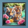 (40*40cm)Tigers - Full Round Drill Diamond Painting