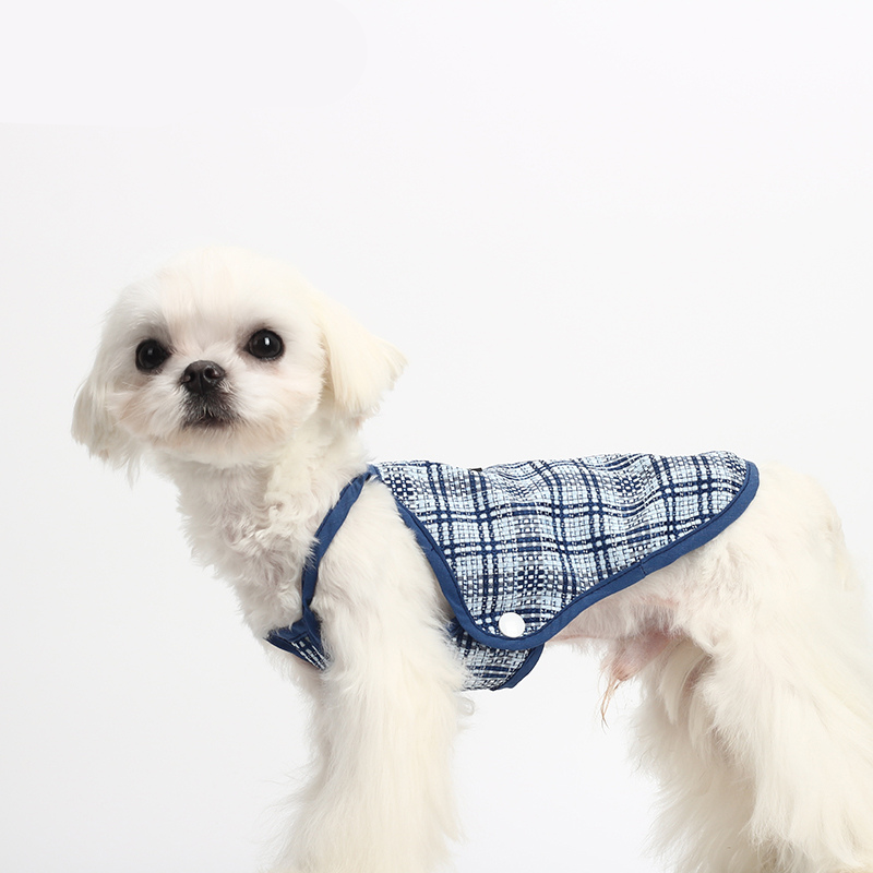 Blue Suspenders For Dogs And Cats