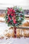 🎁 Christmas Farmhouse Red Berries Wreath🎁 all trending in 2023⭐⭐-mysite-Adracos
