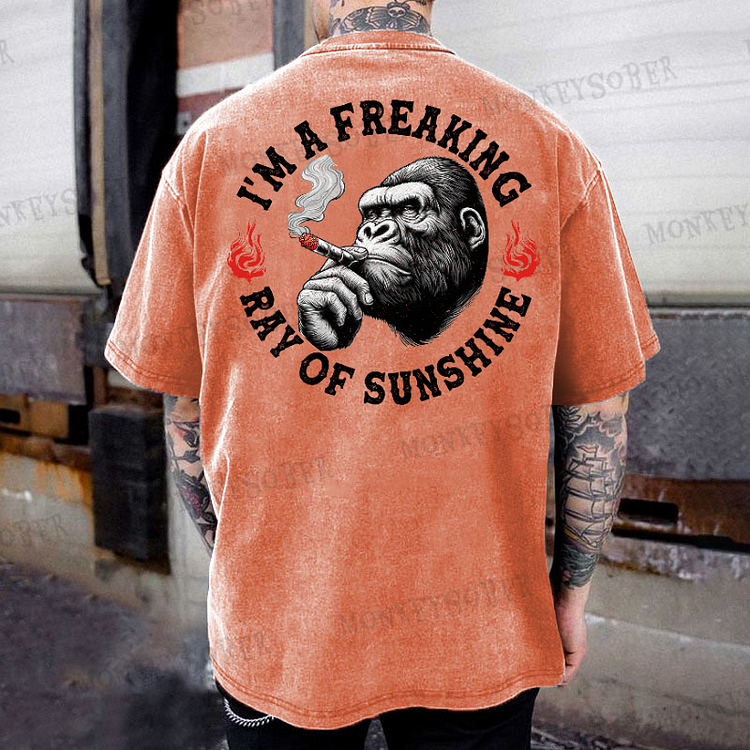 I‘m A Freaking Ray Of Sunshine Washed T-Shirt