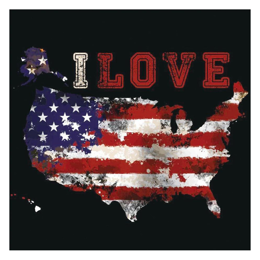 

American Flag Map - Round Drill Diamond Painting - 30*30CM, 501 Original