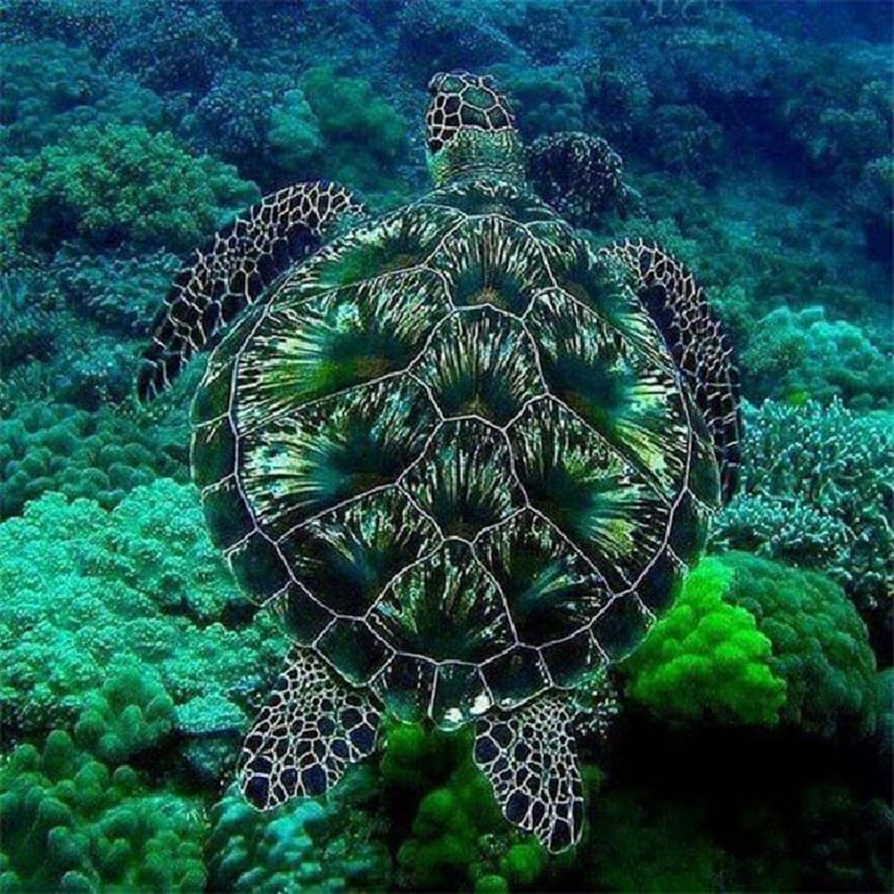 Diamond Painting - Full Round - Sea Turtle(30*30cm)