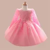 Kid Baby Girl Christening Winter Casual Flower Birthday Dresses