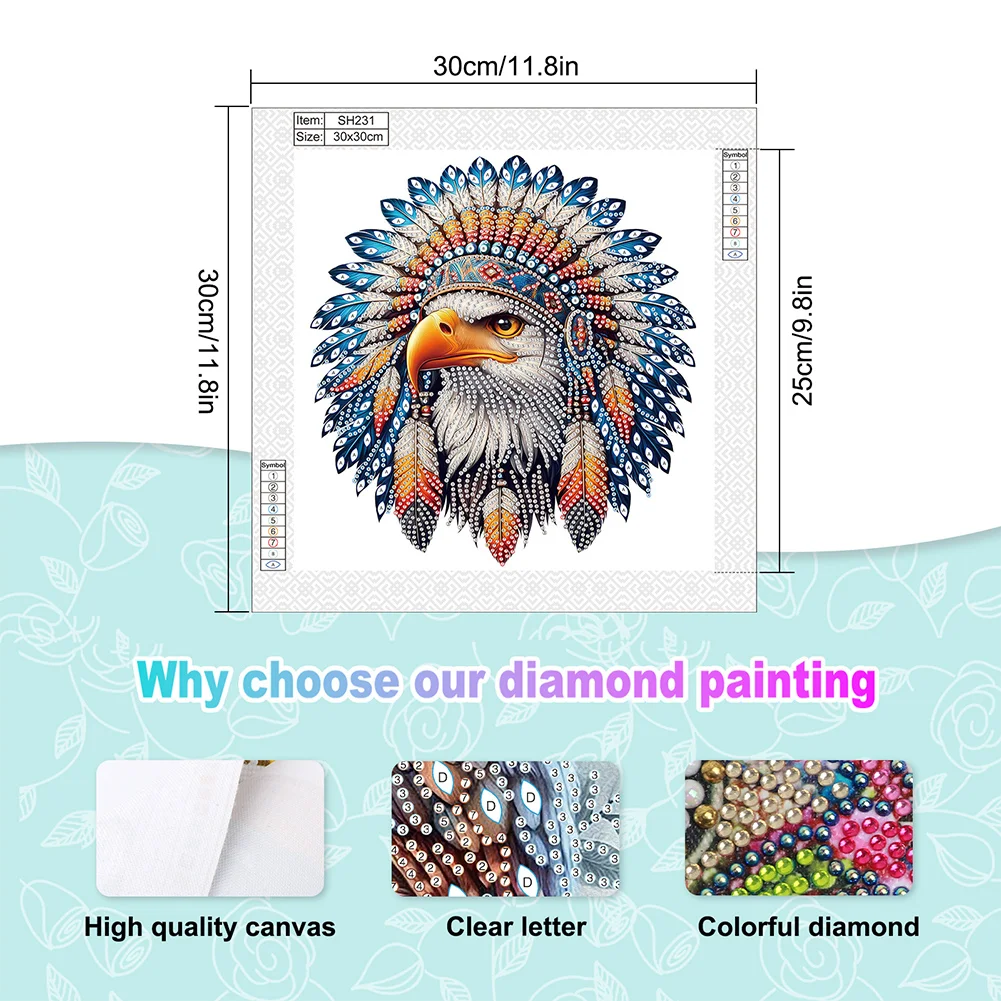 Diamond Painting - Partial Special Shaped Drill - Indian Eagle(Canvas|30*30cm)