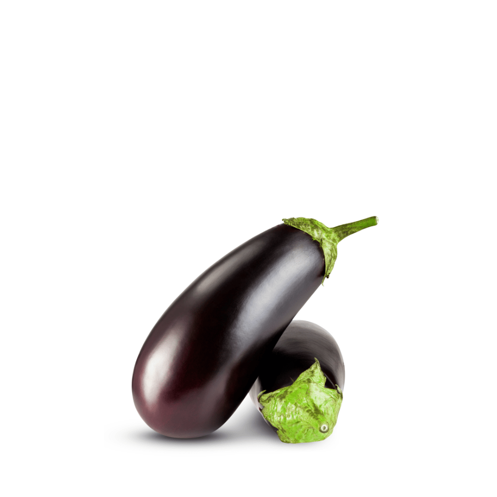 Heirloom Brinjal Egg Plant Long ( Lamba Baingan ) Seeds