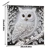 (Pre-Framed)White Owl-Special Shape Diamond Painting Kit(25x25cm)