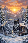 Luxury AB Velvet Diamond Painting Kit - Wolf