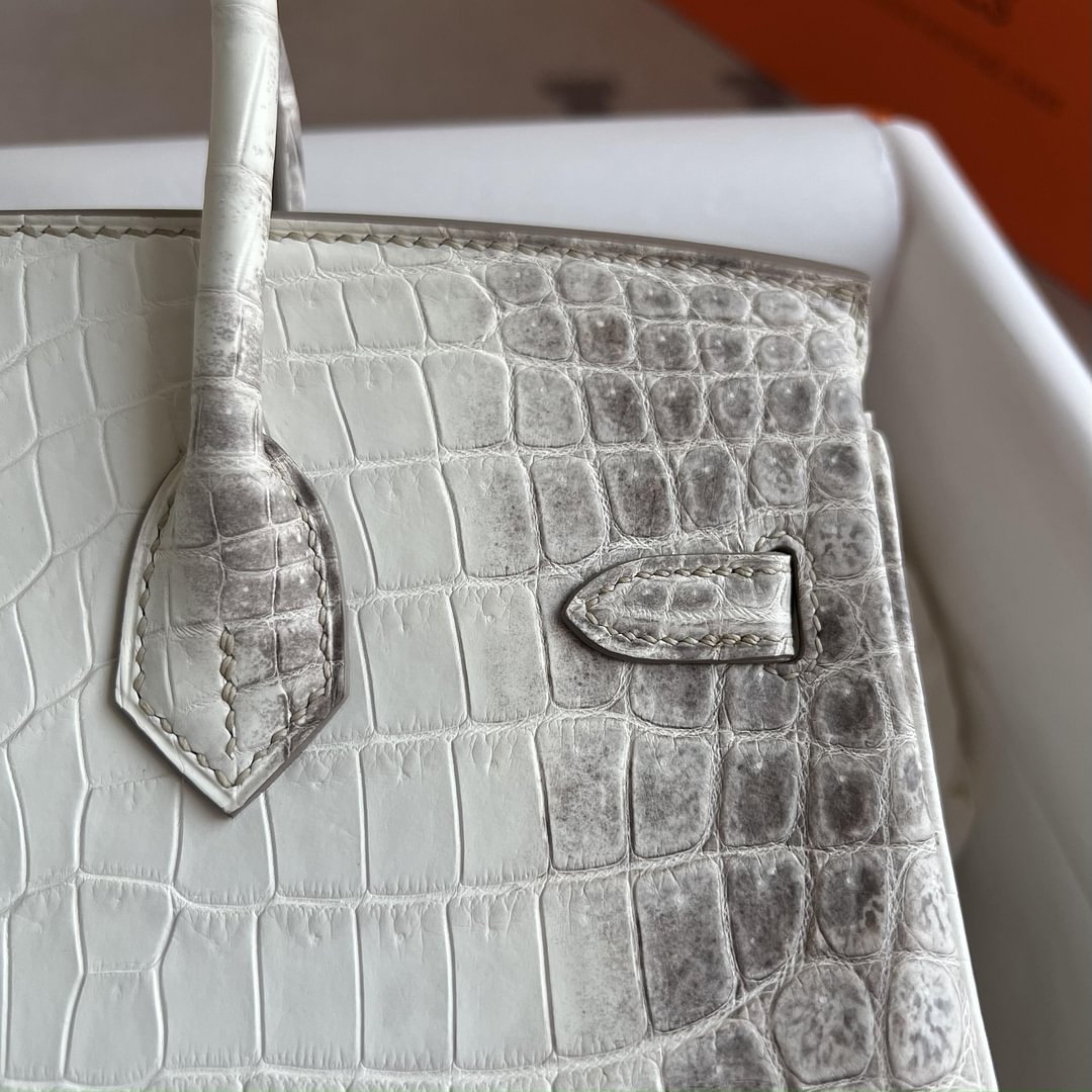 Birkin 25cm Matte Niloticus Crocodile  01 Himalaya PHW