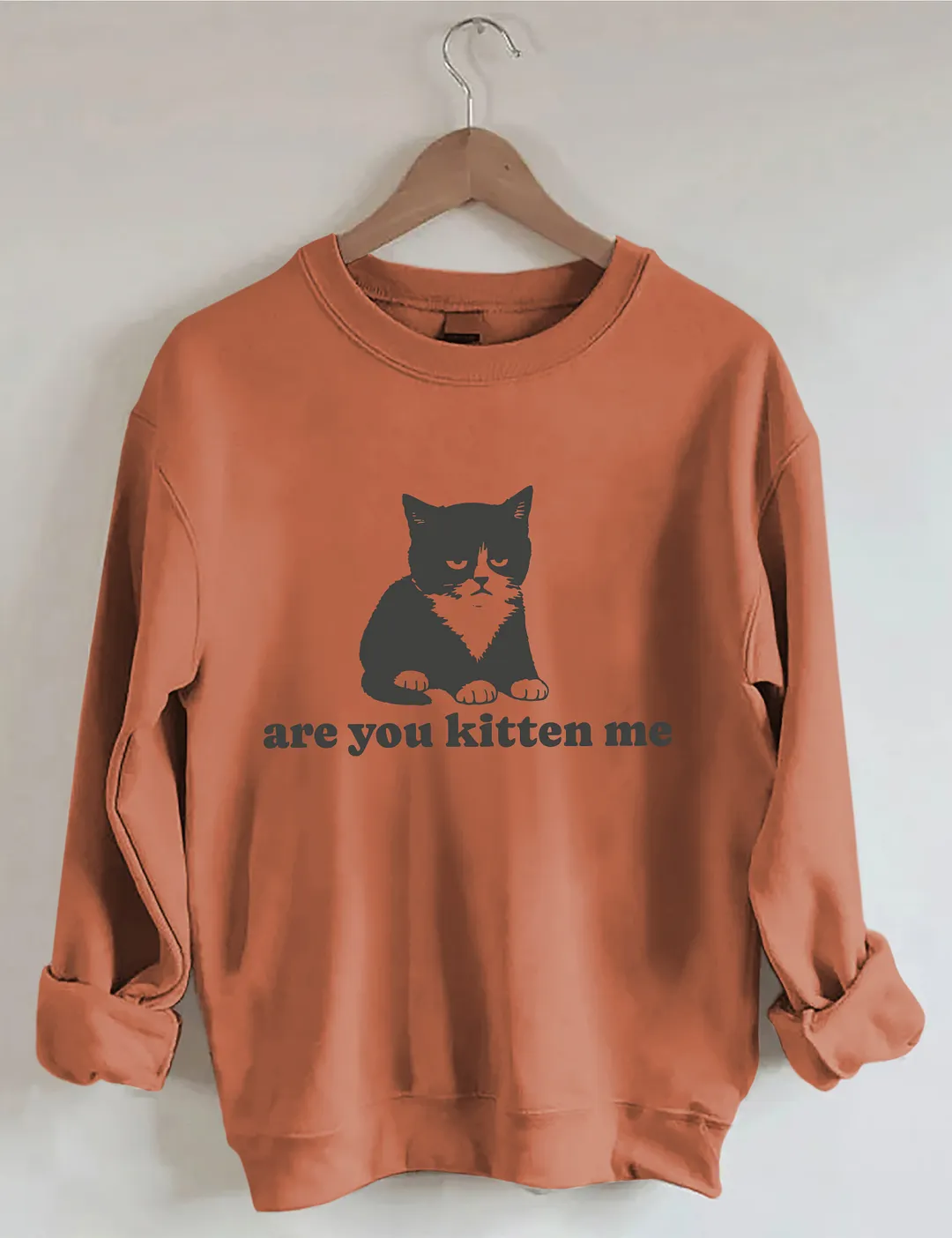 Are You Kitten Me Sweatshirt