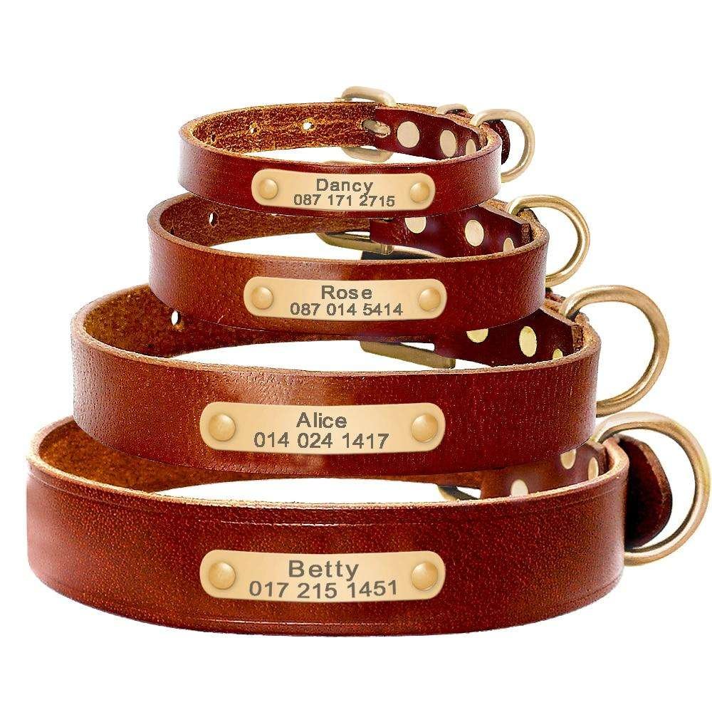 Leather Personalized Dog Collar (2022)
