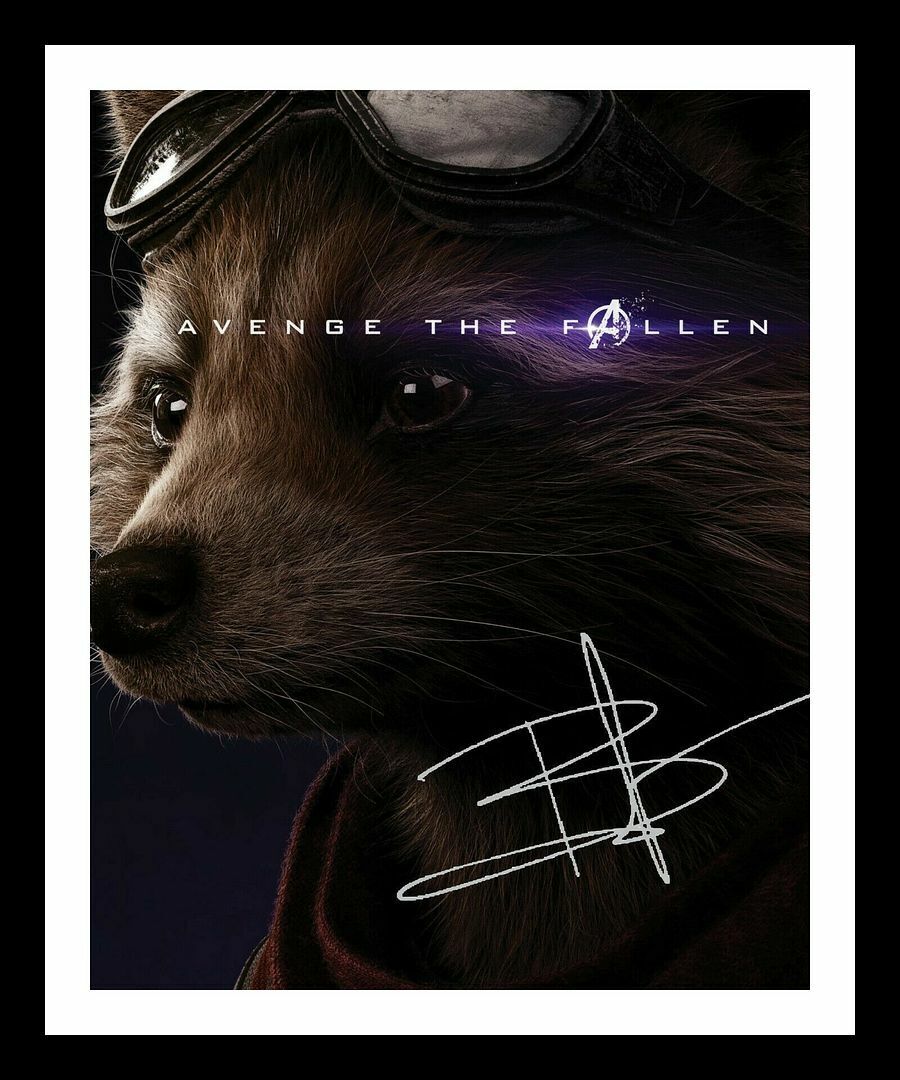 Bradley Cooper - Rocket - The Avengers Autograph Signed & Framed Photo Poster painting 1